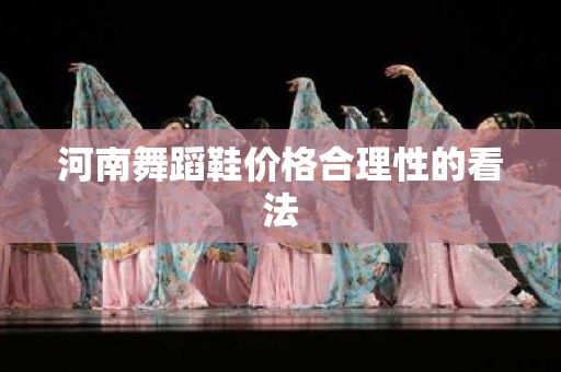 河南舞蹈鞋价格合理性的看法
