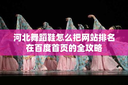 河北舞蹈鞋怎么把网站排名在百度首页的全攻略