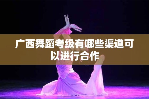 广西舞蹈考级有哪些渠道可以进行合作