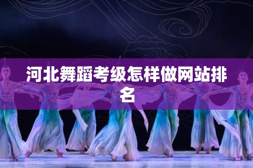 河北舞蹈考级怎样做网站排名