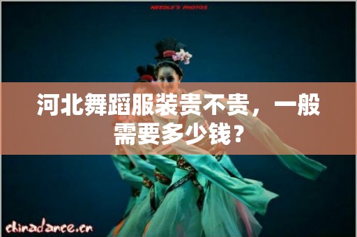 河北舞蹈服装贵不贵，一般需要多少钱？