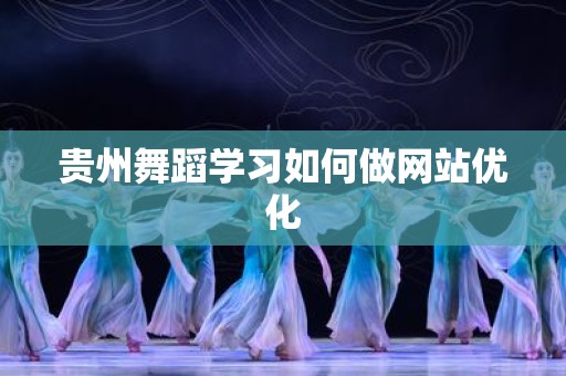 贵州舞蹈学习如何做网站优化