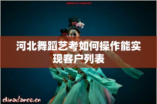 河北舞蹈艺考如何操作能实现客户列表