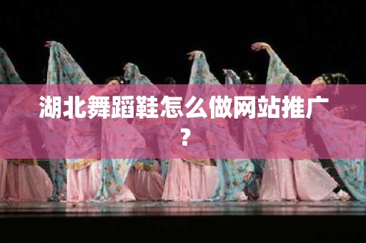 湖北舞蹈鞋怎么做网站推广？