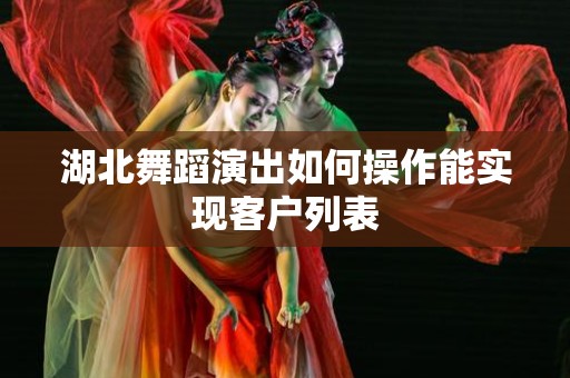 湖北舞蹈演出如何操作能实现客户列表