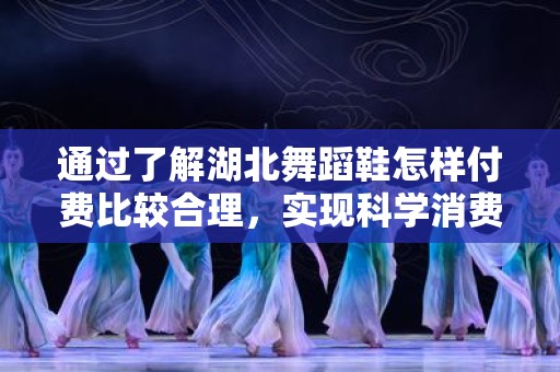 通过了解湖北舞蹈鞋怎样付费比较合理，实现科学消费