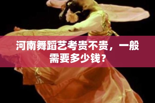 河南舞蹈艺考贵不贵，一般需要多少钱？