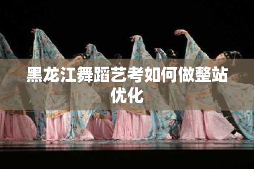 黑龙江舞蹈艺考如何做整站优化
