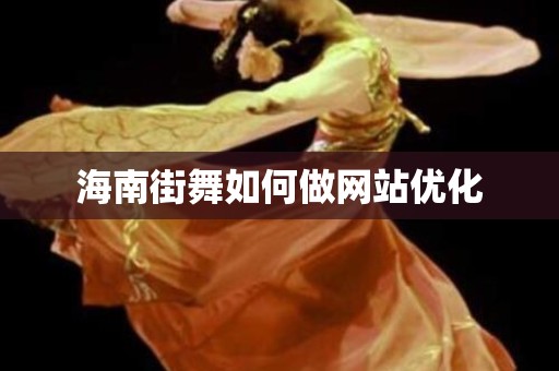 海南街舞如何做网站优化