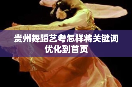 贵州舞蹈艺考怎样将关键词优化到首页