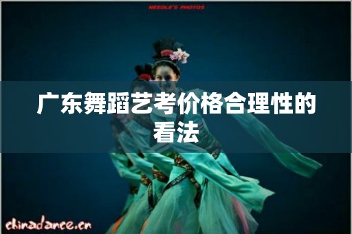 广东舞蹈艺考价格合理性的看法