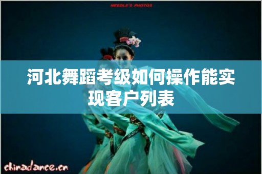 河北舞蹈考级如何操作能实现客户列表