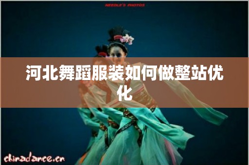 河北舞蹈服装如何做整站优化