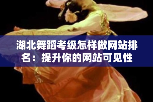 湖北舞蹈考级怎样做网站排名：提升你的网站可见性