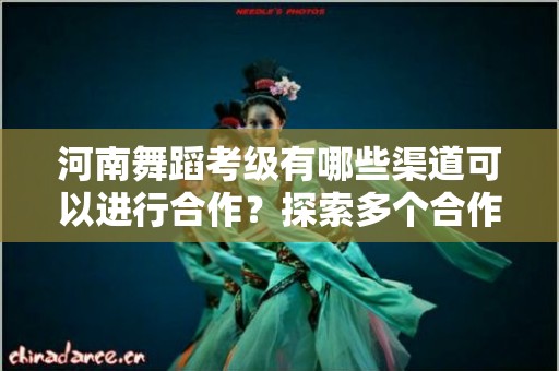 河南舞蹈考级有哪些渠道可以进行合作？探索多个合作机会