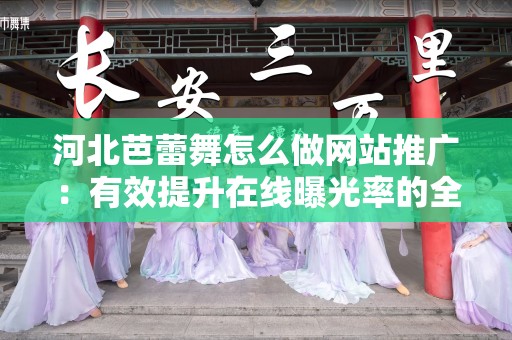 河北芭蕾舞怎么做网站推广：有效提升在线曝光率的全方位策略