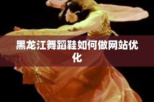 黑龙江舞蹈鞋如何做网站优化