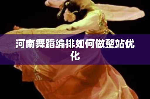 河南舞蹈编排如何做整站优化