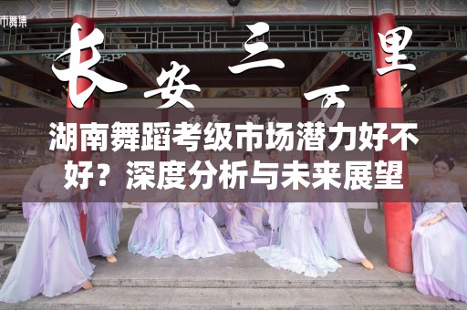 湖南舞蹈考级市场潜力好不好？深度分析与未来展望