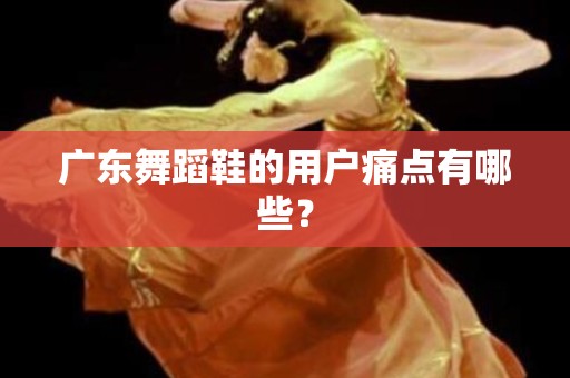 广东舞蹈鞋的用户痛点有哪些？