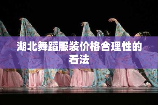 湖北舞蹈服装价格合理性的看法