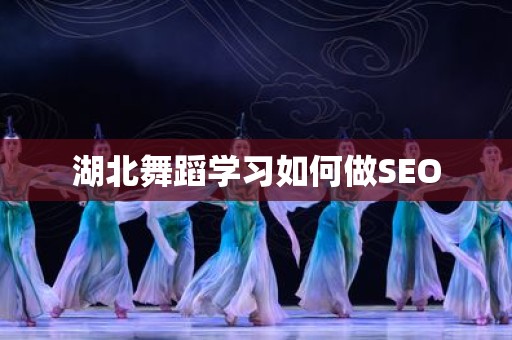 湖北舞蹈学习如何做SEO