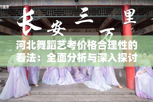 河北舞蹈艺考价格合理性的看法：全面分析与深入探讨