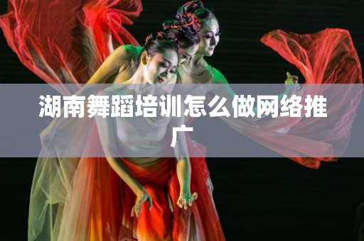 湖南舞蹈培训怎么做网络推广