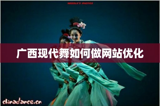 广西现代舞如何做网站优化